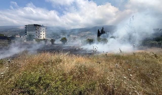 İskenderun’da otluk alan yangını