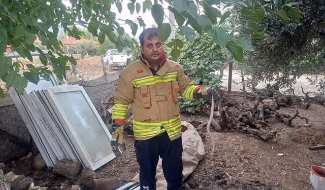 Hatay’da yerleşim alanlarında görülen yılanlar doğal yaşam alanına bırakıldı