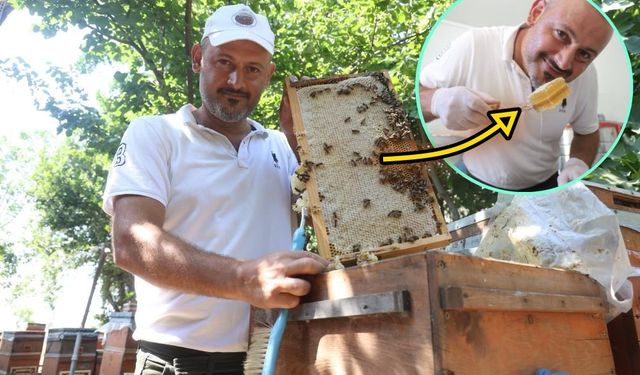 Yağışlarla birlikte açan çiçekler arıları sevindirirken bal hasadı yüz güldürdü