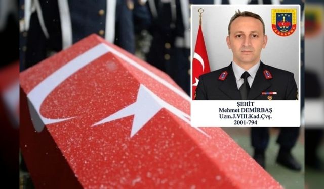 Kavga ihbarına giden jandarma şehit oldu