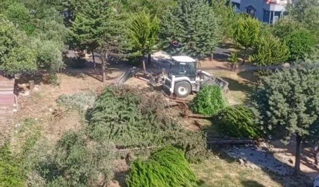 Parktaki ağaçların sökülmesine vatandaşlardan tepki