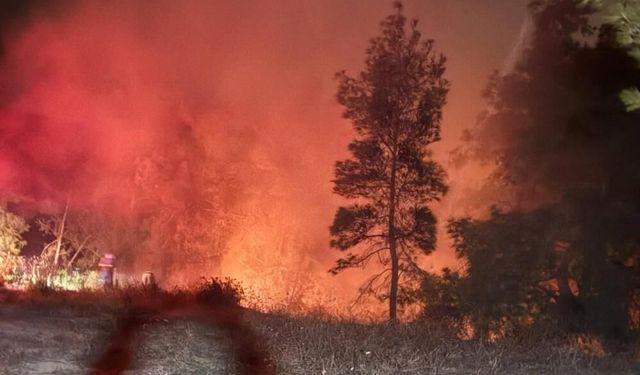 Hatay’da orman yangını kontrol altına alındı