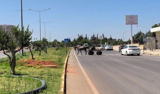 Otomobilin çarptığı kadın metrelerce havaya uçarak can verdi