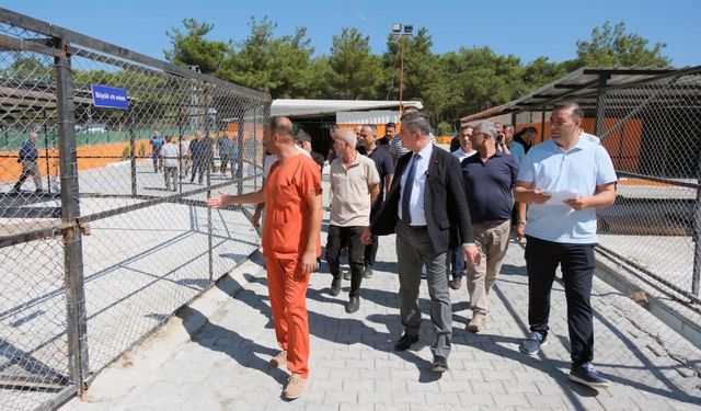 Hayvan bakımevi sokak hayvanlarının sıcak yuvası oldu