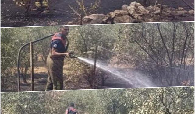 Dörtyol’da bahçe yangını kontrol altına alındı