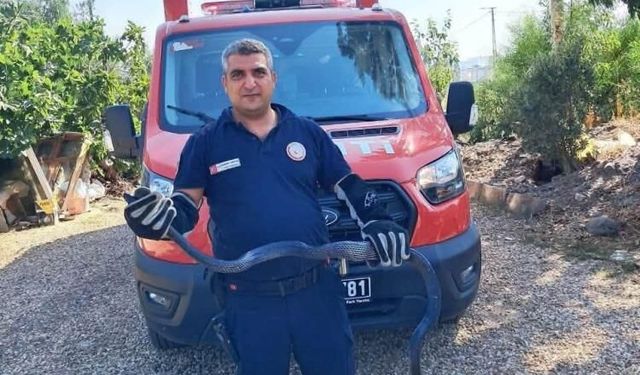 Evin bahçesine giren 2 metrelik yılan korkuttu