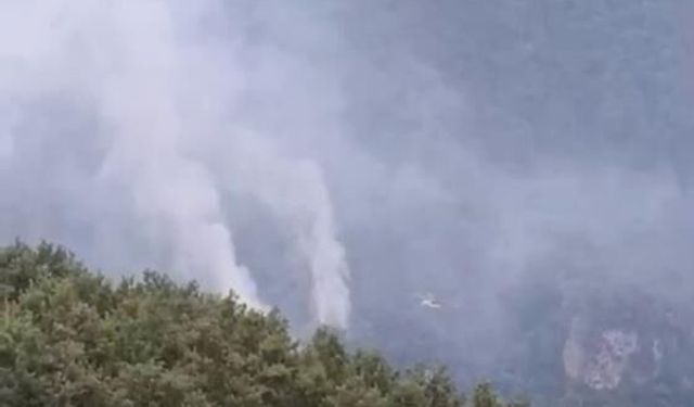 Hatay’daki orman yangınının enerjisi düşürüldü