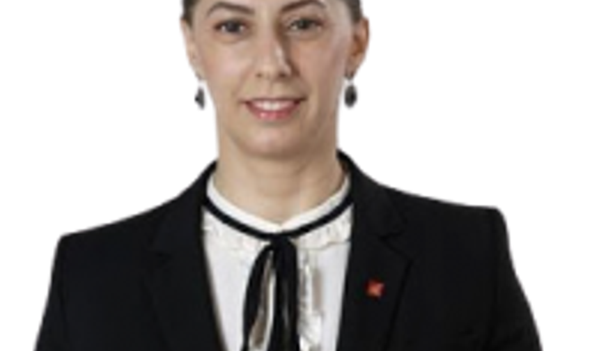 DEVR-İ SABIK MESELESİ