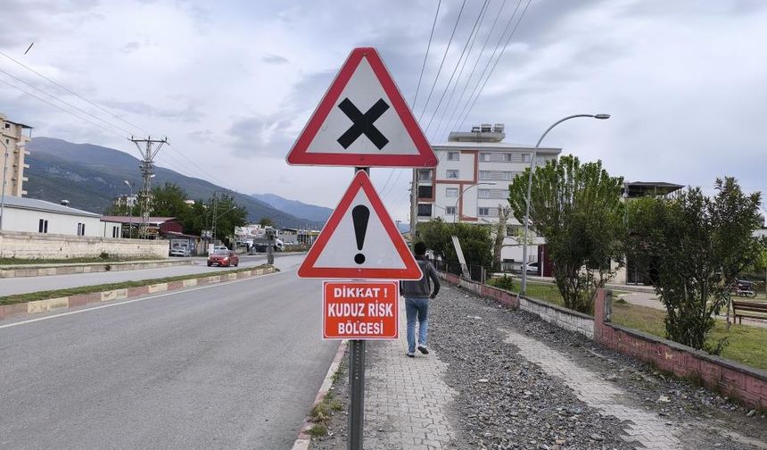 Dörtyol Özerli Mahallesi ‘Kuduz Risk Bölgesi' ilan edildi