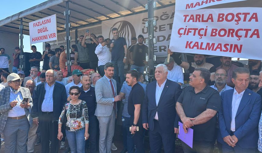 Reyhanlı'da soğan üreticilerinden tepki eylemi: Emeğimiz ziyan oluyor