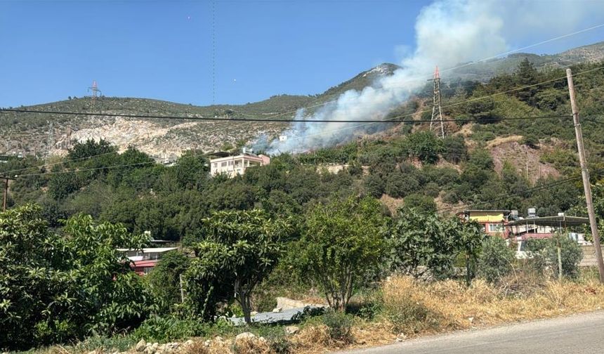 Ormanlık alanda çıkan yangın söndürüldü
