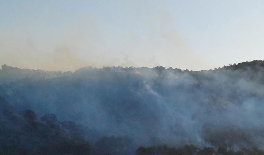 Hatay’da orman yangını