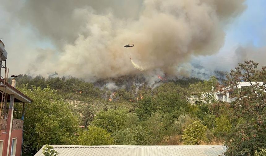 Hatay'da yangına 16 ilden gelen ekipler müdahale ediyor