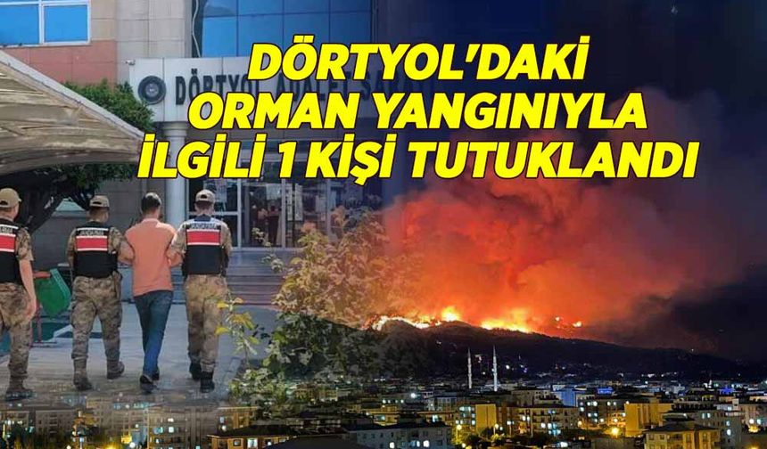Dörtyol'daki orman yangınıyla ilgili 1 kişi tutuklandı