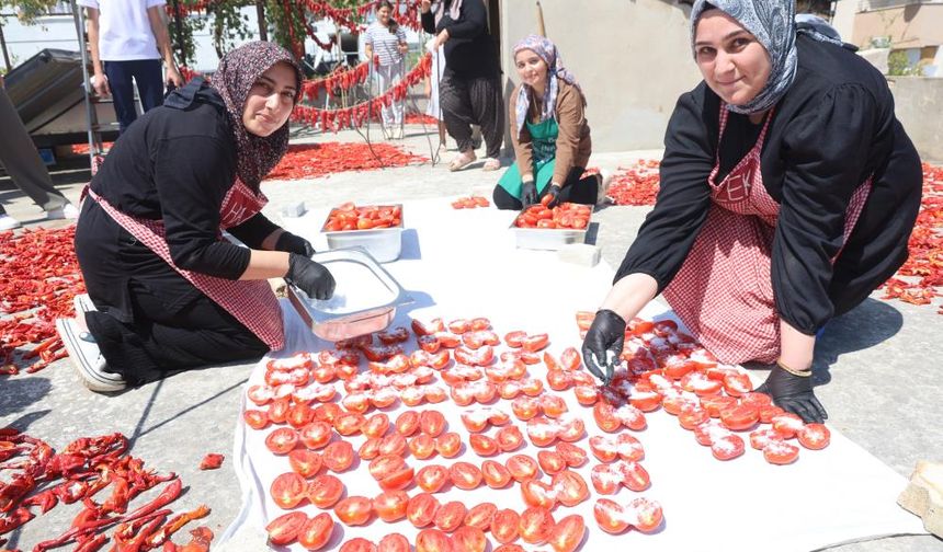 Afetzede kadınların kuruttuğu domatesler, kış aylarında sofraları süslüyor