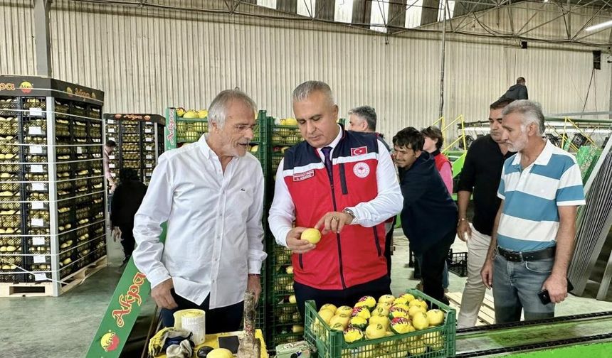 Hatay’da limon ihraç eden firmalar denetlendi