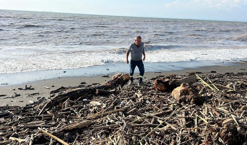 Şiddetli yağışla kahverengiye dönen Akdeniz’de kıyı kütüklerle kaplandı
