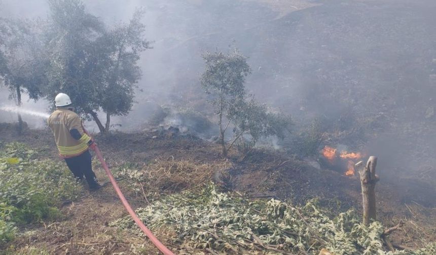Kumlu’da bahçe yangını