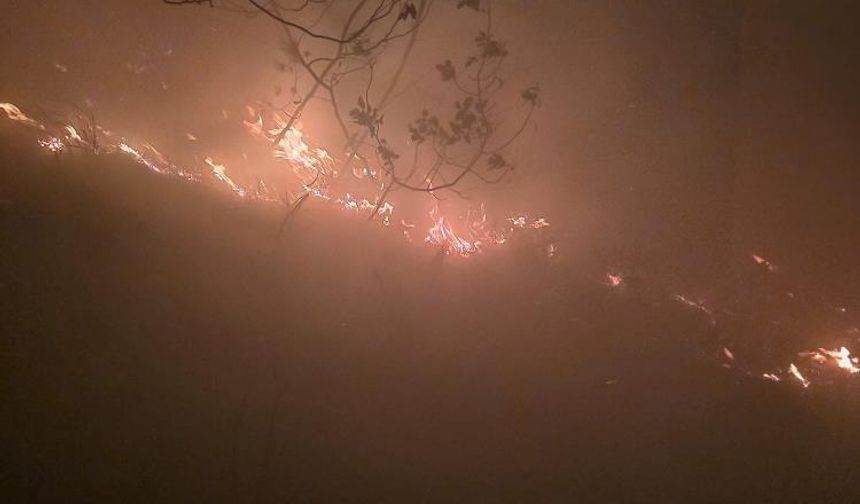 Hatay'da yıldırım düşmesiyle gece çıkan orman yangına müdahale devam ediyor