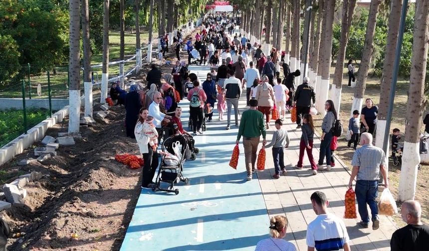 Filesini eline alan vatandaşlar dalından bedava narenciye topladı