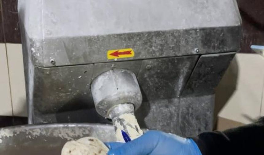 Fırın denetiminde mide bulandıran görüntüler, zabıta böcek çeşitlerini saymakla bitiremedi