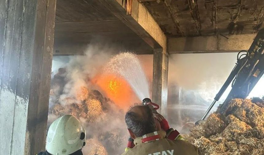 Samandağ'da samanlıkta çıkan yangın 10 saatte kontrol altına alındı