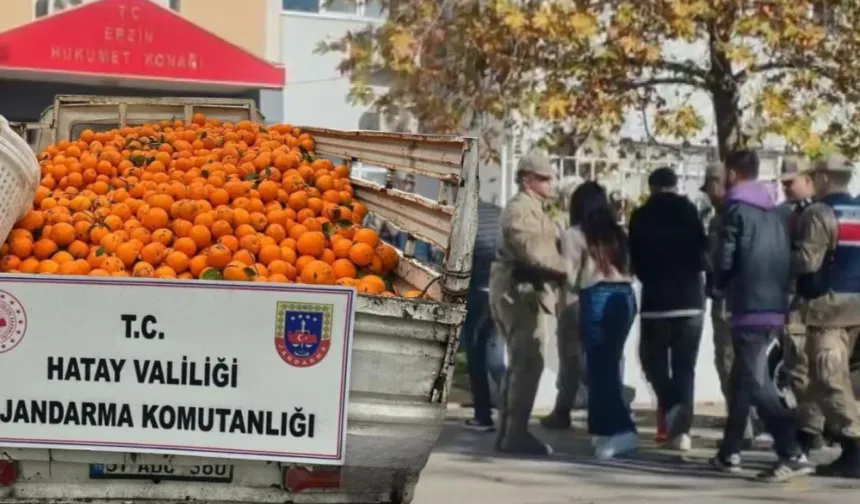 Portakal çalarken suçüstü yakalanan 5 şahıs yakalandı