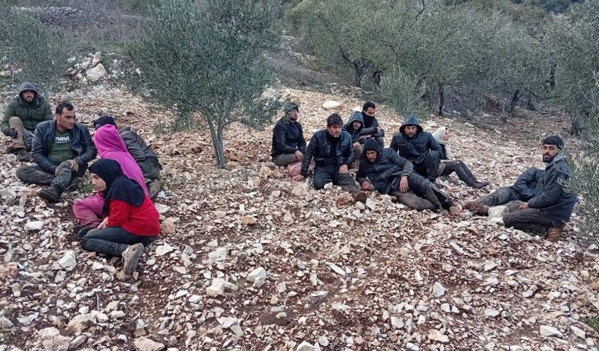 Hatay’da zeytinlik alanda 30 düzensiz göçmen yakalandı