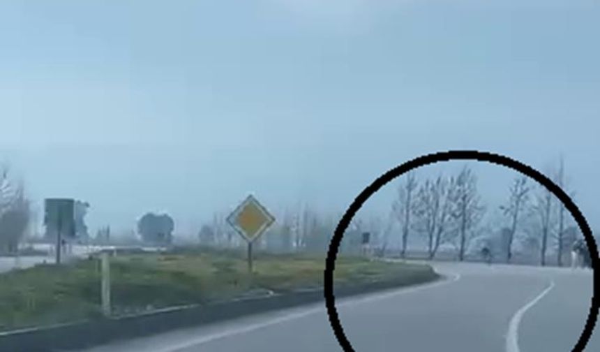 Akrobatik hareketler yapan motosiklet sürücüsü tarlaya uçtu