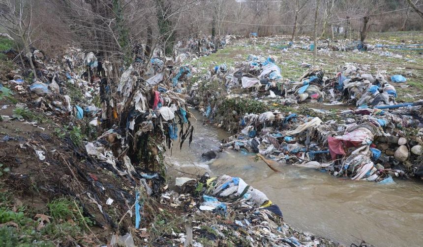 Çilek bahçesi selle birlikte su altında kaldı