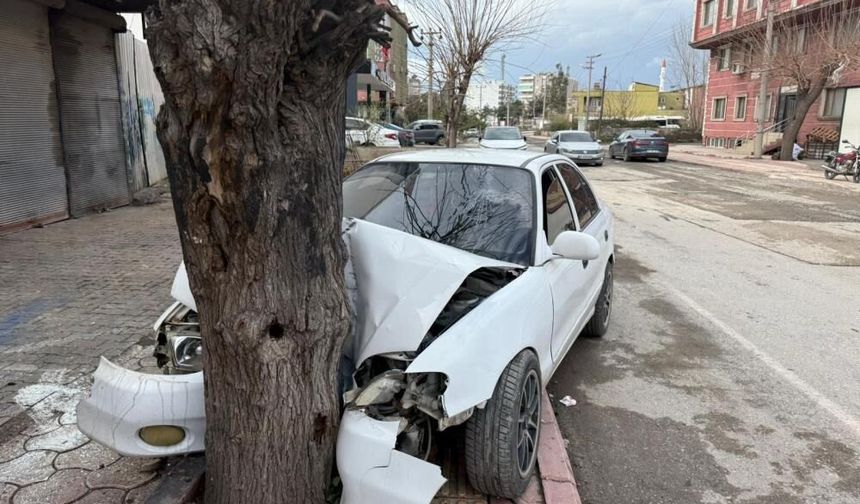 Ehliyetsiz sürücünün kontrolünü kaybettiği otomobil ağaca çarptı