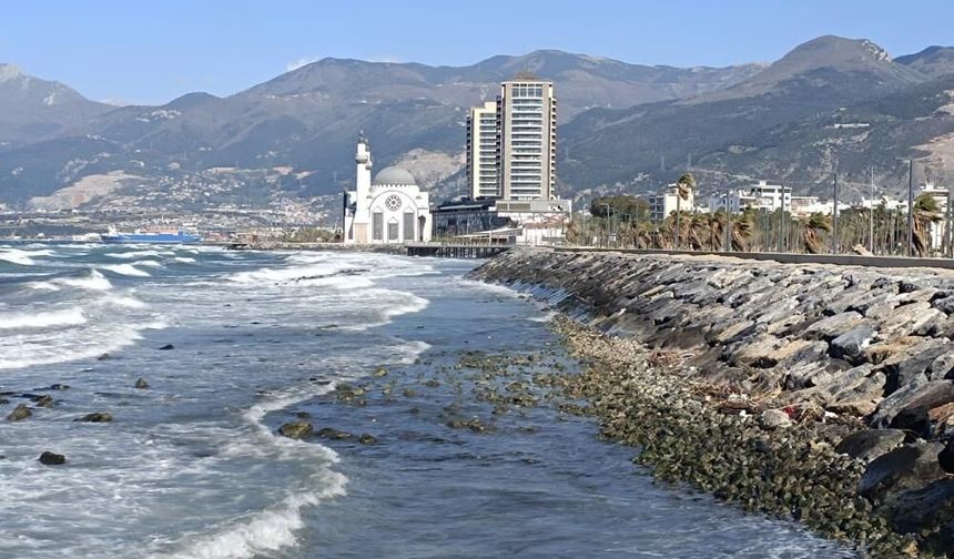 İskenderun Körfezi'nde denizde çekilme yaşandı