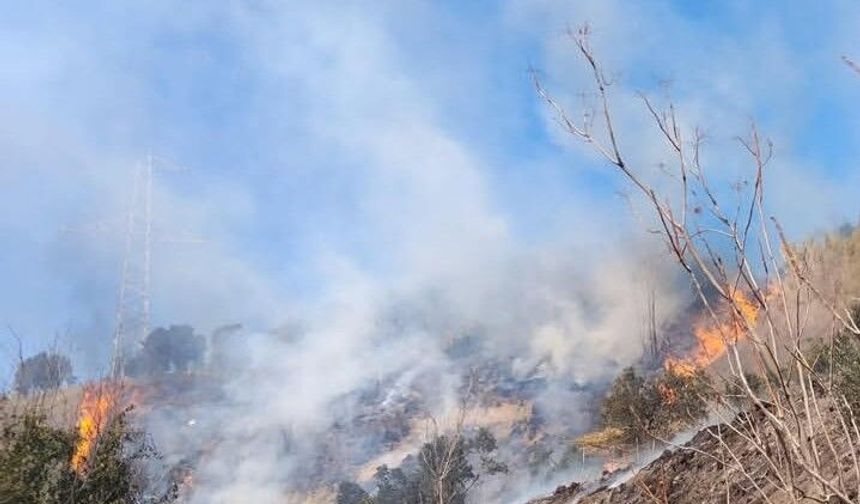 Defne'de çıkan bahçe yangınından alevler yükseldi