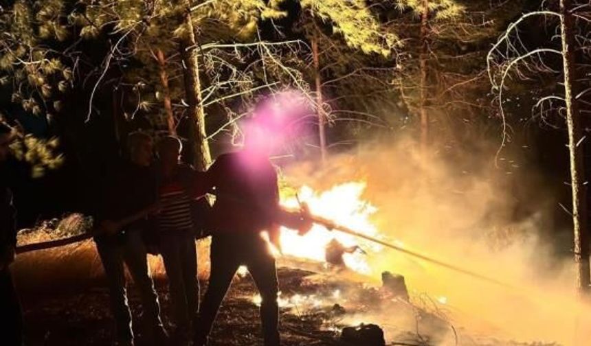 Ormanlık alanda çıkan yangın büyümeden söndürüldü