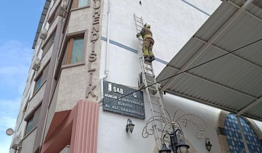 İpe dolanan kuş kurtarıldı