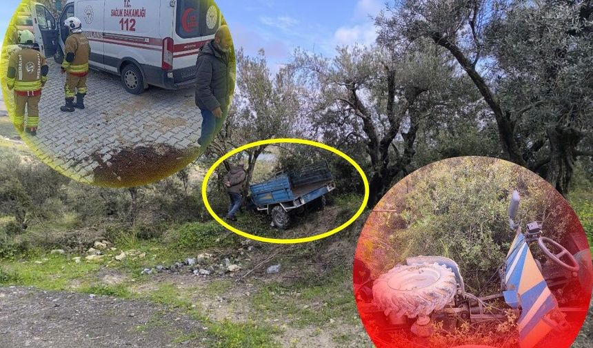 Zeytin bahçesine uçan patpatın sürücüsü öldü