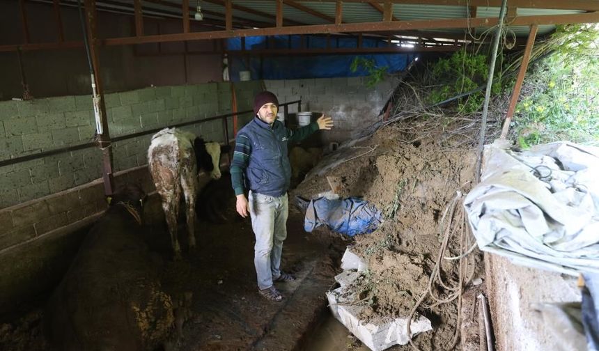 Heyelanda önü toprakla dolan ahırda hayvanlar mahsur kaldı