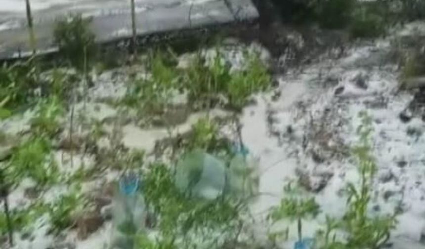 Dolu yağışı beyaza bürüdü