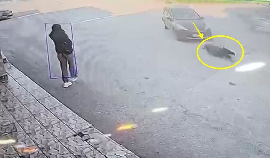 Karşıya geçmeye çalışan kadına otomobil çarptı