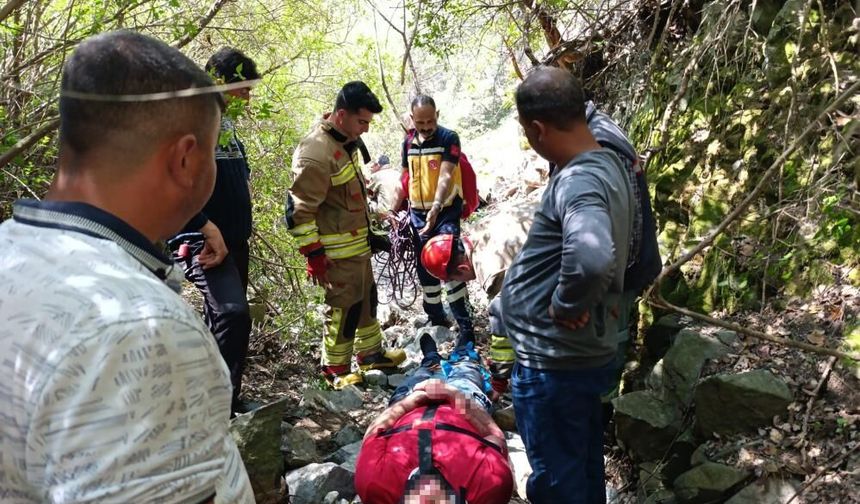 Ormanlık alanda uçurumdan düşen vatandaş yaralandı