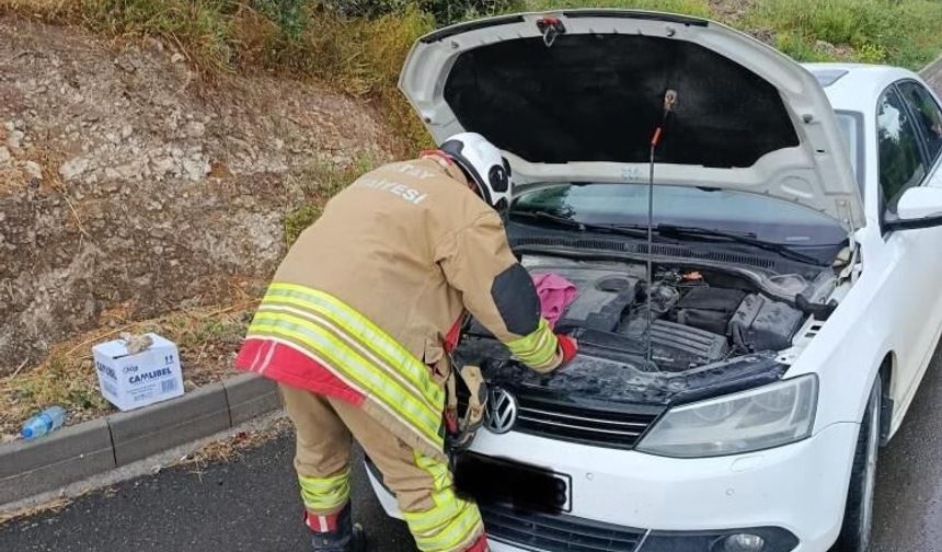 Otomobilin motoruna giren kediler kurtarıldı