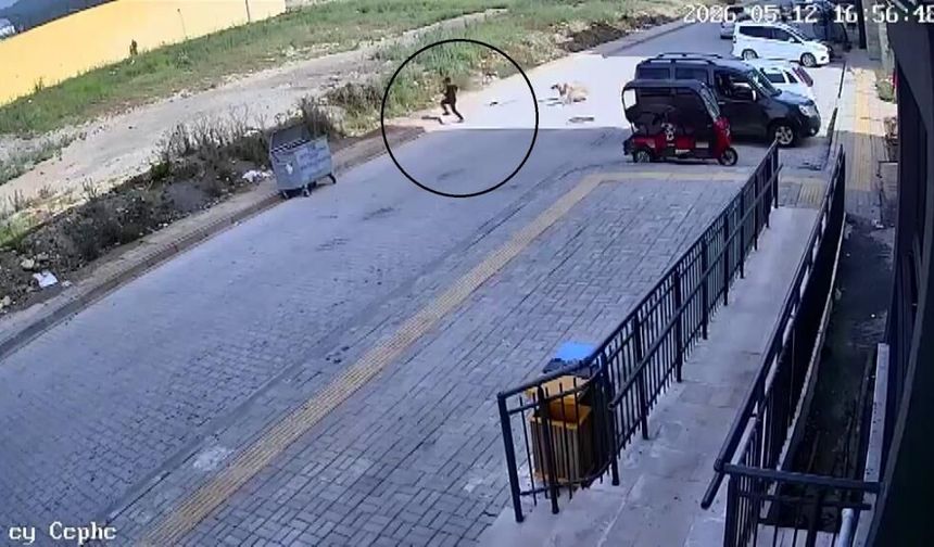 Sokak köpeklerinin saldırdığı 7 yaşındaki çocuk korku dolu anlar yaşadı