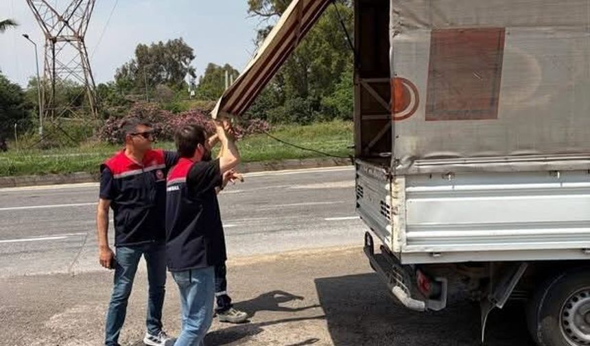Kurban Bayramı öncesi hayvan satış noktalarında denetim