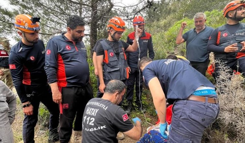 Yaşlı kadın, kekik toplarken uçurumdan yuvarlandı