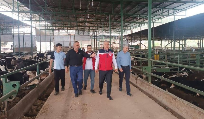 Kurban Bayramı öncesi hayvan satış yerlerinde sıkı denetim