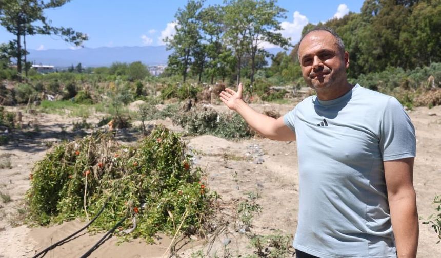 Taş yığınları, onlarca tarım arazisine zarar verdi