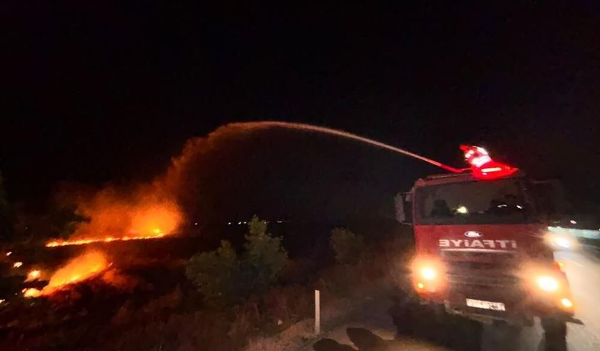 Anız yangını zeytinliğe sıçradı: 200 dönüm arazi zarar gördü