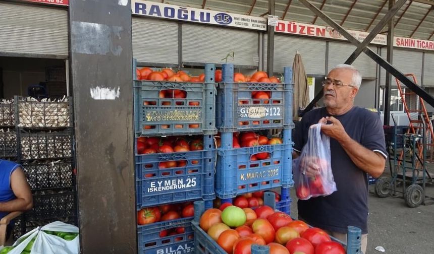 Sebze halindeki domatesin fiyatı 15 TL'ye düştü