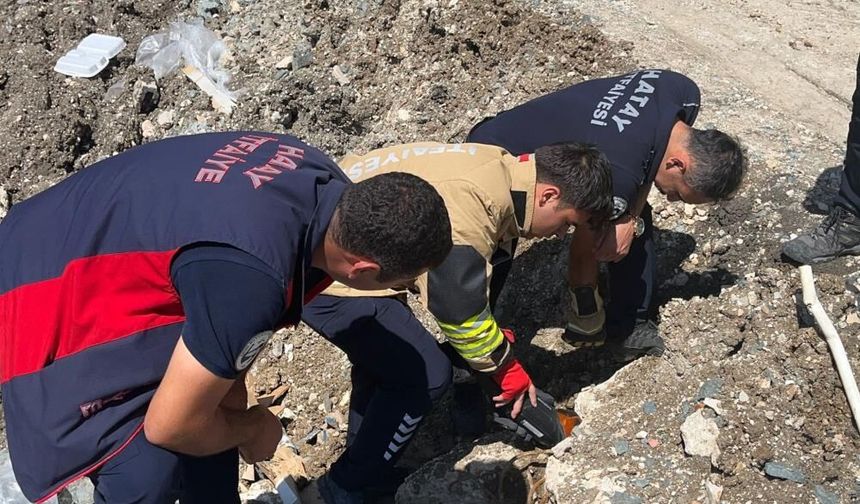 🐈Anne kedi yavruları kurtarılana kadar ekiplerin başında bekledi