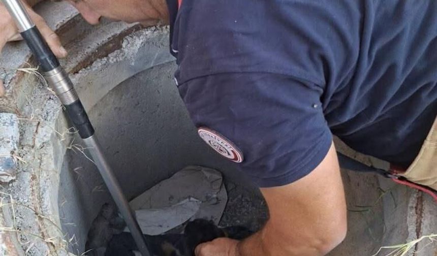 🐕Kuyuya düşen yavru köpek kurtarıldı